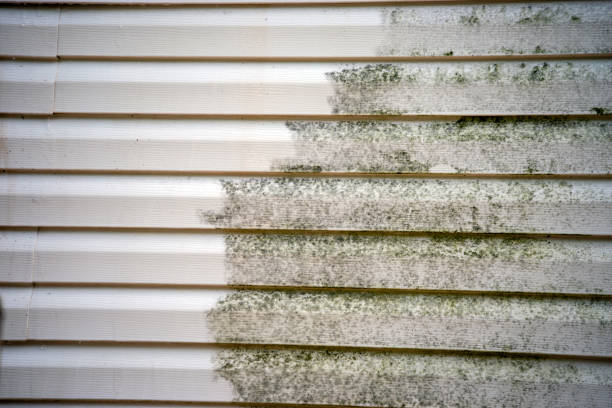Best Engineered Wood Siding  in Hanover, MN